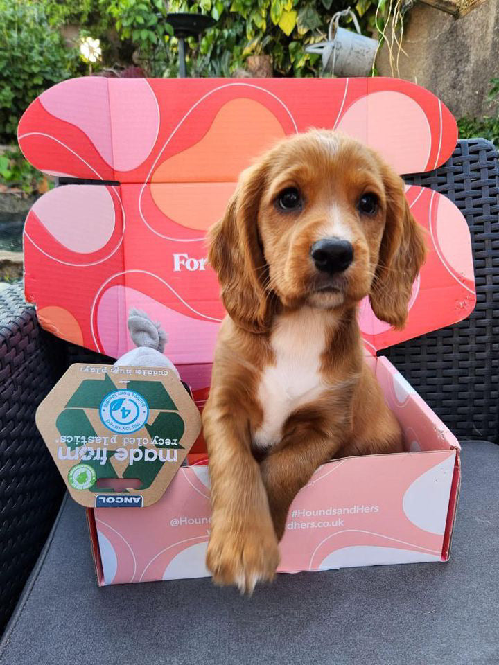 Monthly Subscription Box