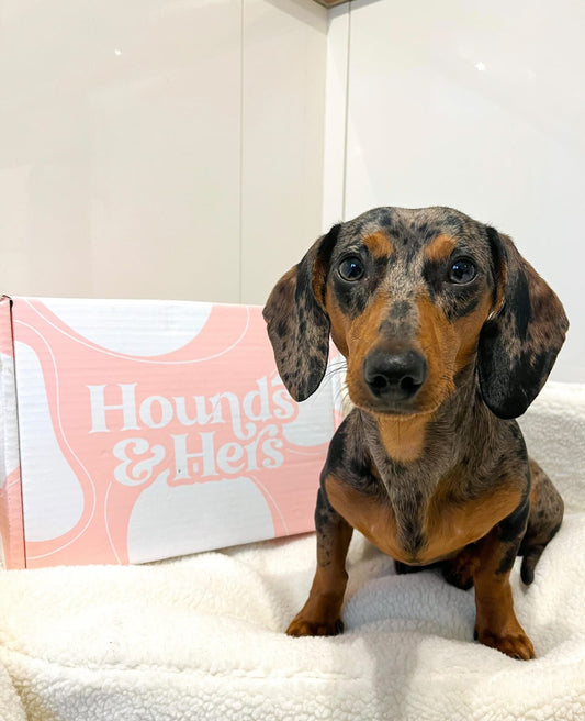 Monthly Subscription Box