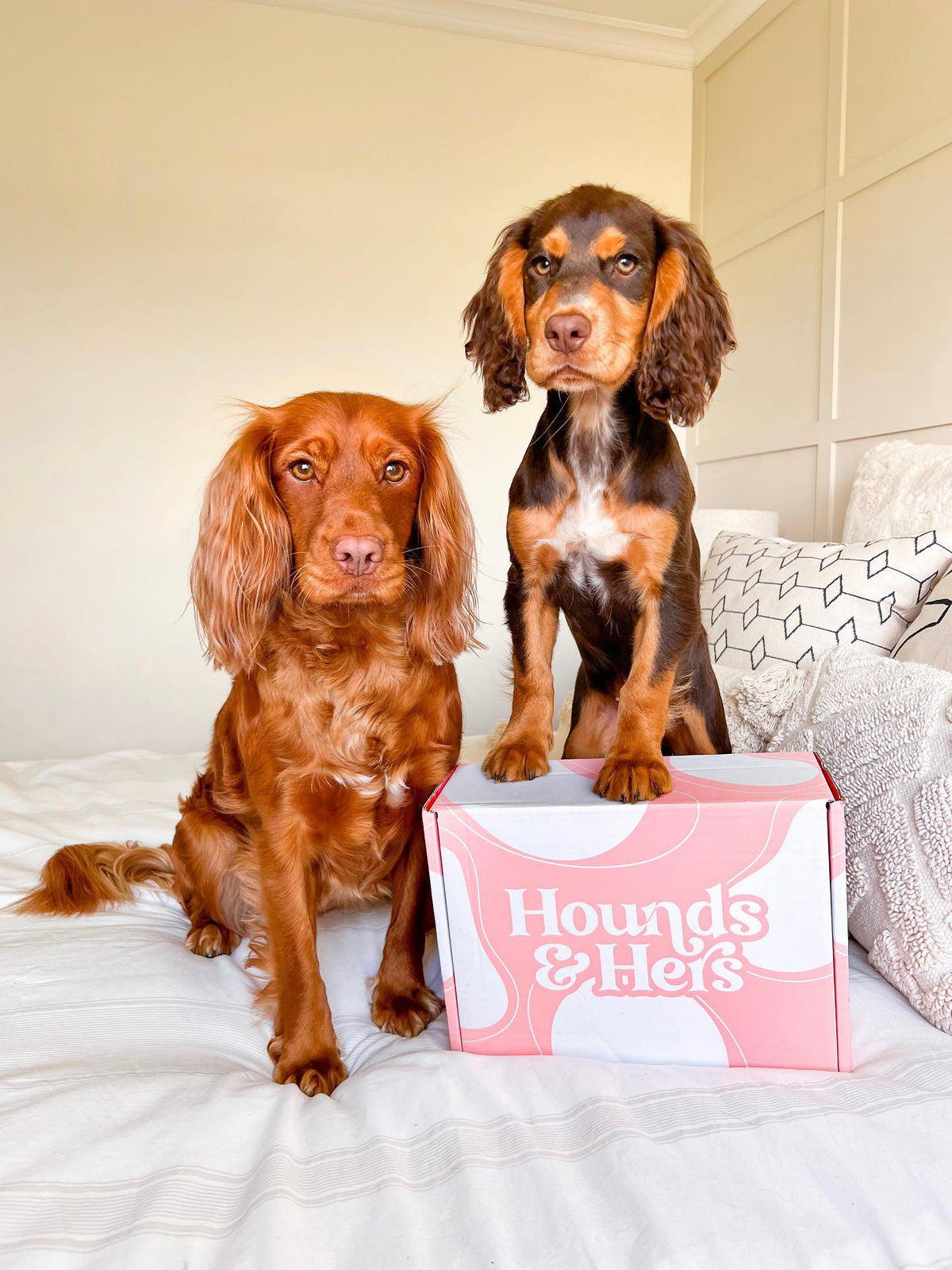 Monthly Subscription Box