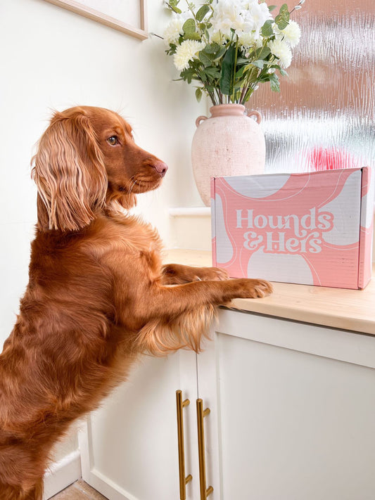 Subscription Box | One Off Box