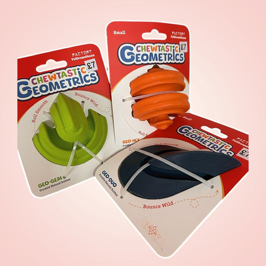 Geometric Enrichment Toy