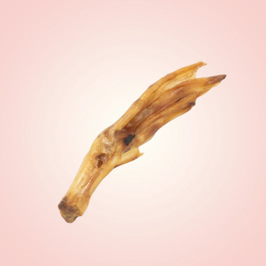 Duck Feet