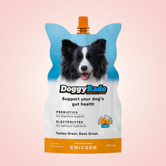 DoggyRade | Chicken Prebiotic Drink