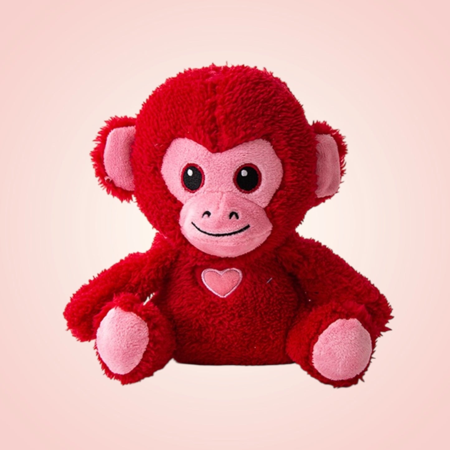 Cheeky Monkey with Rope Tail Toy