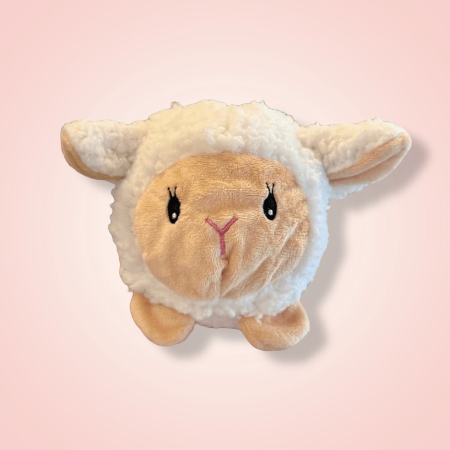 Baabaa Buddy Ball Toy