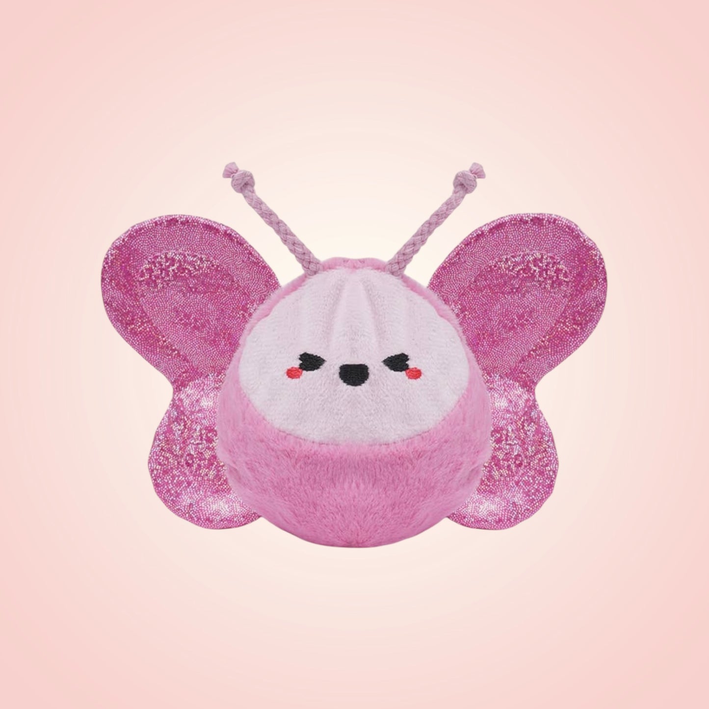 Butterfly Ball Toy