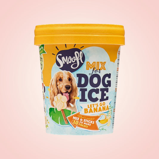 Smoofl | Banana IceCream