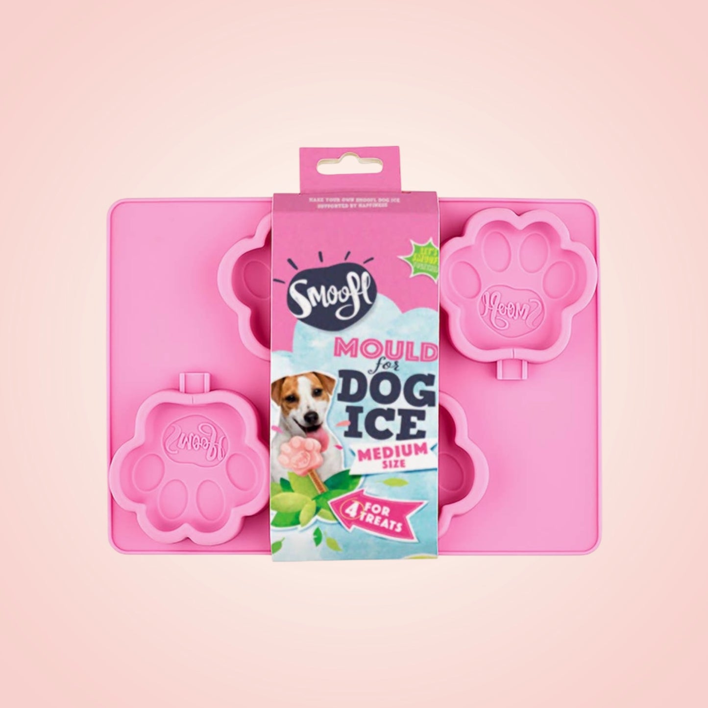 IceCream Moulds