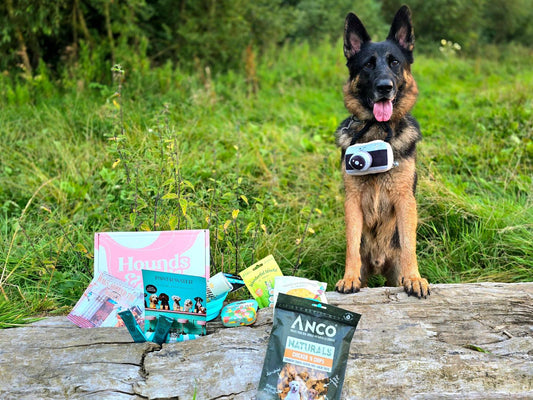Monthly Subscription Box