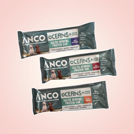 Anco | Oceans Protein Bars