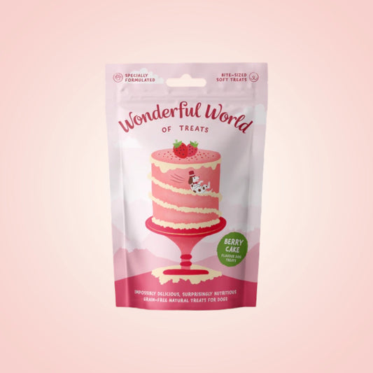 Wonderful World Of Treats | Berry Cake